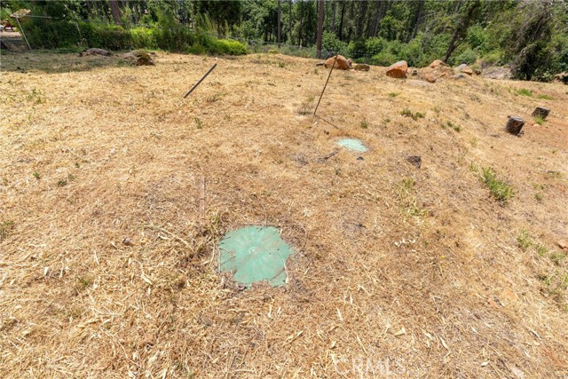 Detail Gallery Image 15 of 28 For 1820 Amore, Paradise,  CA 95969 - – Beds | – Baths