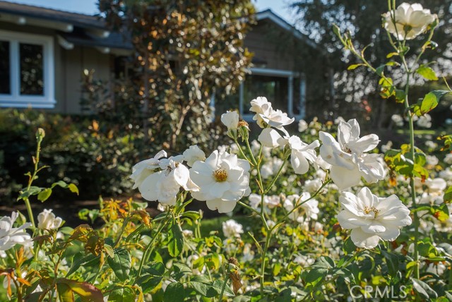Detail Gallery Image 46 of 49 For 2011 Redberry, North Tustin,  CA 92705 - 4 Beds | 3 Baths