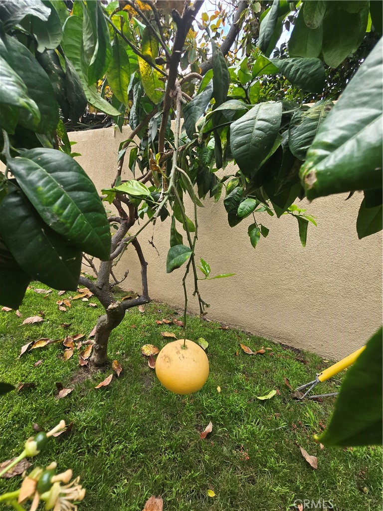 https://media.crmls.org/medias/0a9955c0-b625-43d5-8439-56e3ac4b8945.jpg?preset=X-Large