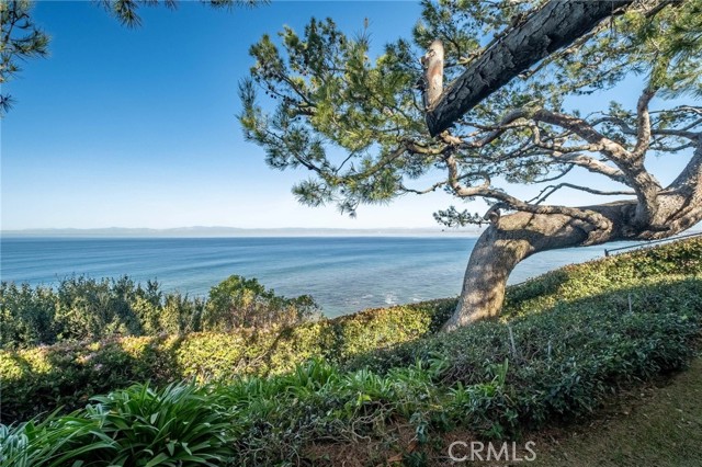 Detail Gallery Image 65 of 75 For 1733 Paseo Del Mar, Palos Verdes Estates,  CA 90274 - 6 Beds | 5/1 Baths