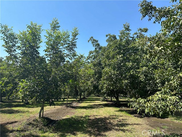 Detail Gallery Image 8 of 10 For 4215 Stephens Rd, Corning,  CA 96021 - – Beds | – Baths