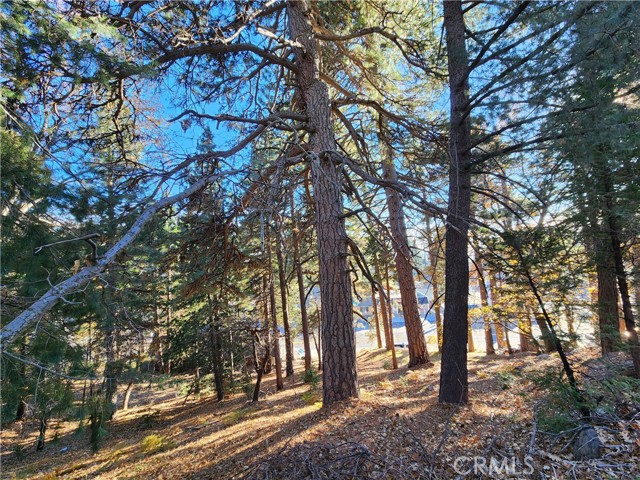 0 Lovers Lane, Rimforest CA: https://media.crmls.org/medias/0aa32127-7dbf-4404-9e28-4494dfb24c8a.jpg