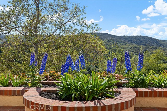 29122 Laurel Valley Drive, Vista CA: https://media.crmls.org/medias/0aa740c0-d50c-4d3e-aa9f-c2b3226226c6.jpg