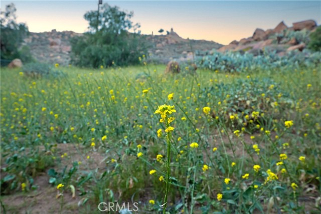Detail Gallery Image 32 of 32 For 4227 Miramonte Pl, Riverside,  CA 92501 - 3 Beds | 2/1 Baths