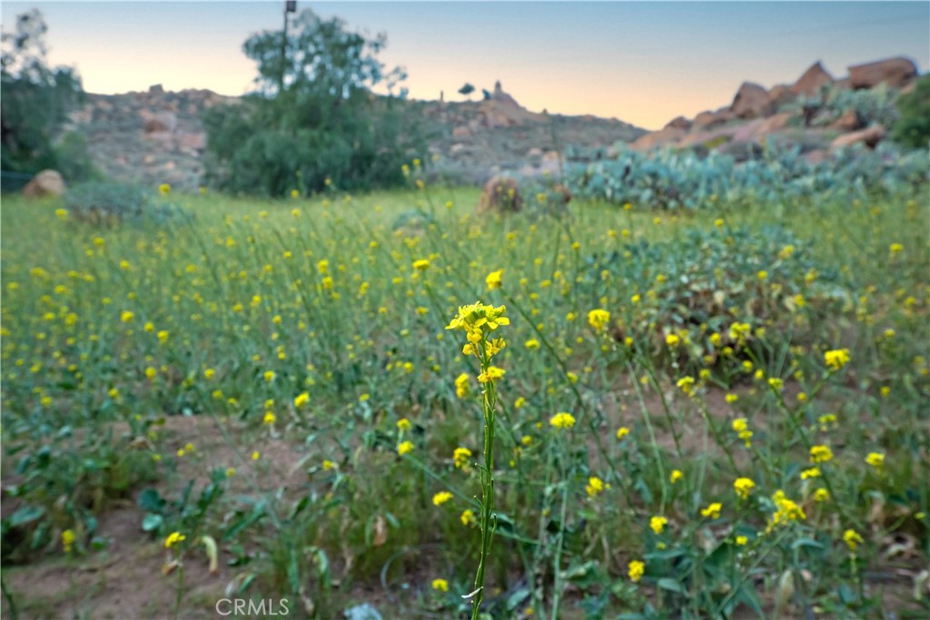 https://media.crmls.org/medias/0aa77301-5cff-4f88-8889-84fdc9170a3f.jpg?preset=X-Large