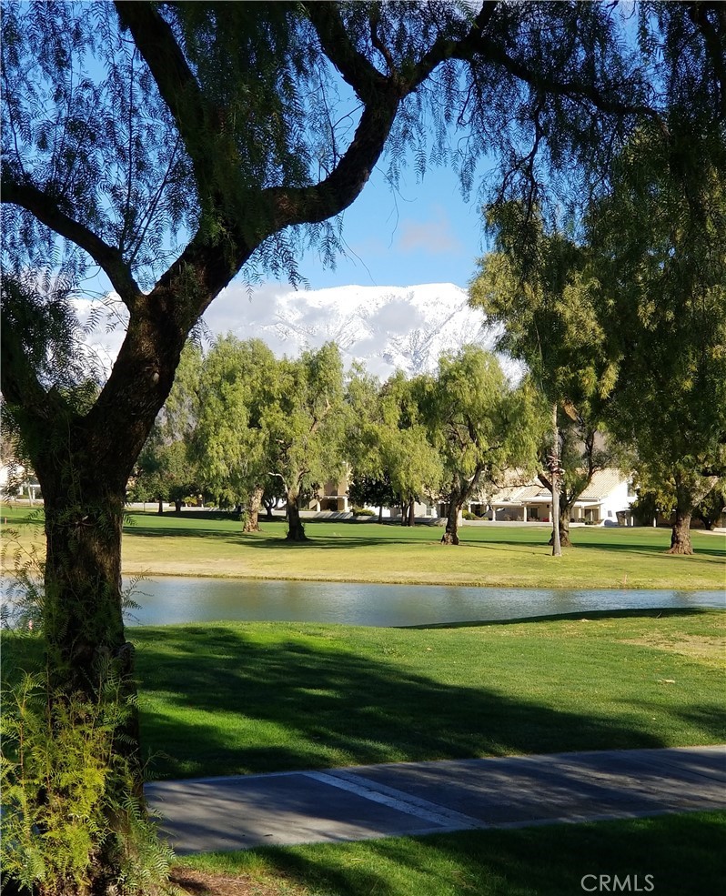 MLS #IG25063359 image #69