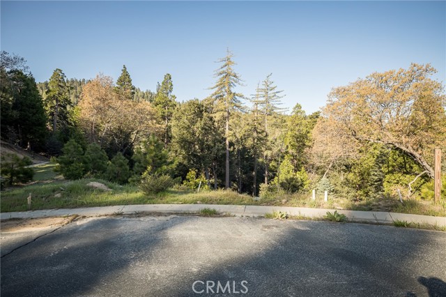 284 Hidden Forest, Lake Arrowhead, CA, 92352 284 Hidden Forest, Lake Arrowhead, CA, 92352