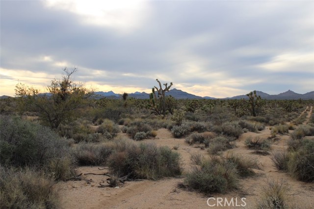 Detail Gallery Image 4 of 6 For 0 Cedar Canyon, Essex,  CA 92332 - – Beds | – Baths