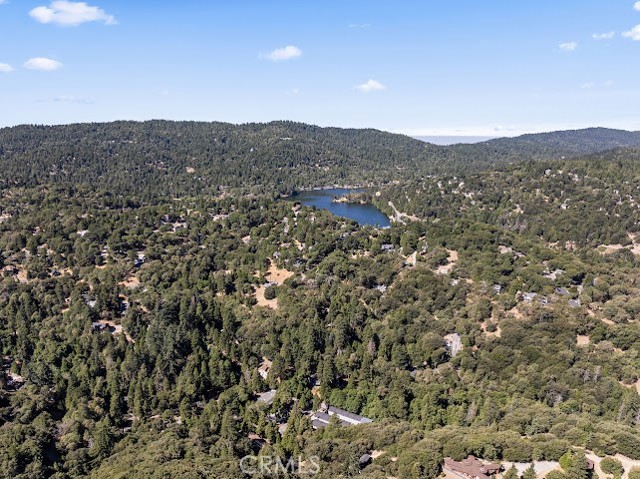 24834 Edelweiss Drive, Crestline, CA 92325