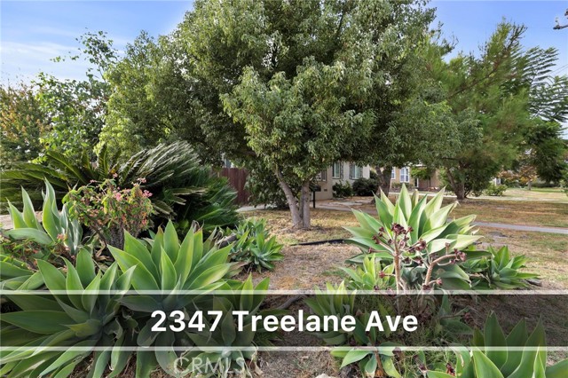 Detail Gallery Image 5 of 24 For 2347 Treelane Ave, Monrovia,  CA 91016 - 6 Beds | 4 Baths