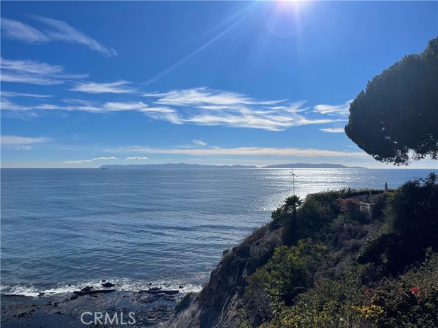 Catalina views from rear yard