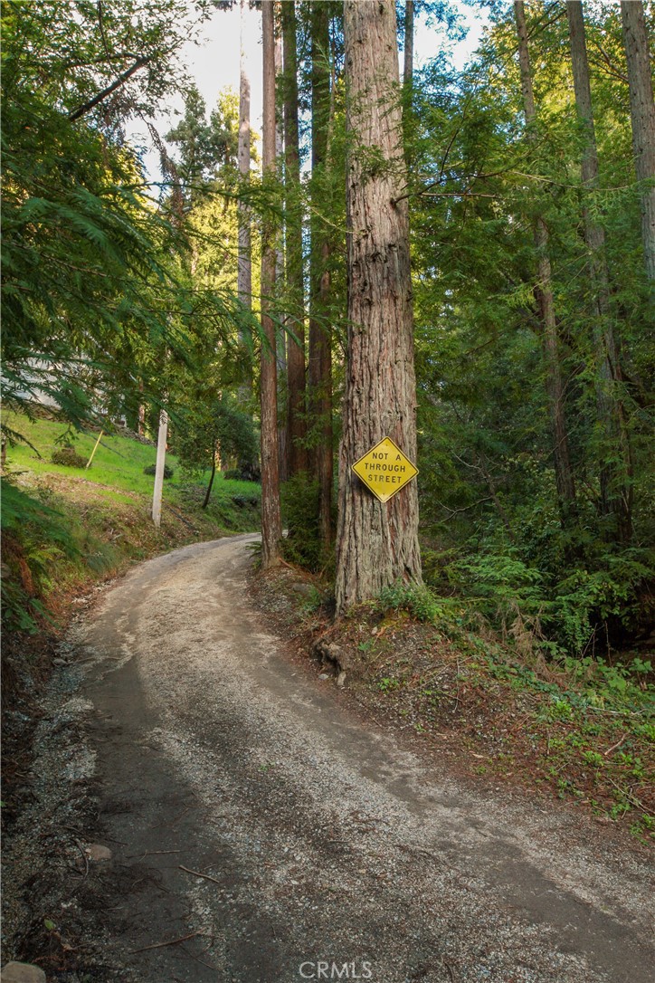 MLS #OC25221127 image #14