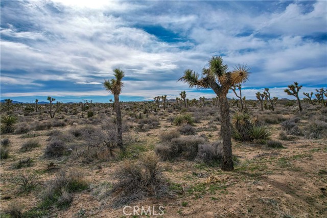 Detail Gallery Image 28 of 32 For 4824 Elata Ave, Yucca Valley,  CA 92284 - – Beds | – Baths