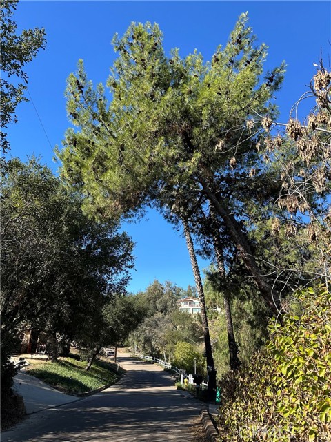 Detail Gallery Image 20 of 22 For 0 Highline Trail, El Cajon,  CA 92021 - – Beds | – Baths