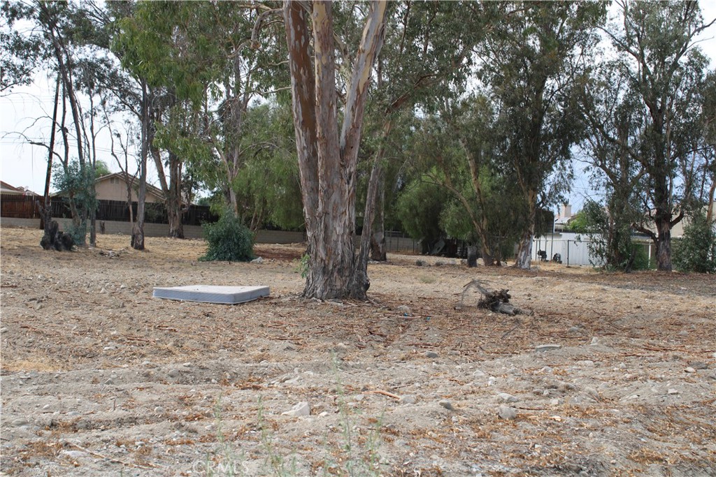 MLS #IV25223016 image #13