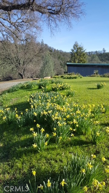 Detail Gallery Image 15 of 36 For 2002 Ogulin Canyon, Clearlake,  CA 95422 - 2 Beds | 2 Baths