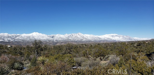 Detail Gallery Image 19 of 19 For 155 Lot #155 Buckthorn, Mountain Center,  CA 92561 - – Beds | – Baths