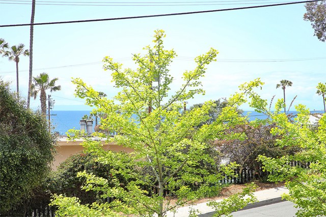 Ocean and Catalina view