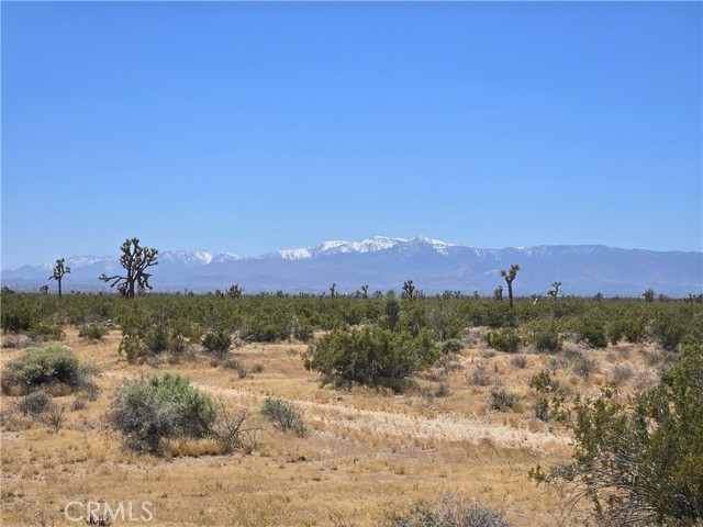 Detail Gallery Image 4 of 7 For 10 Acres Beaver Ave, Adelanto,  CA 92301 - – Beds | – Baths