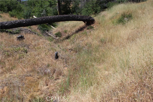 Detail Gallery Image 21 of 45 For 10255 Carrousel Dr, Redding,  CA 96001 - – Beds | – Baths