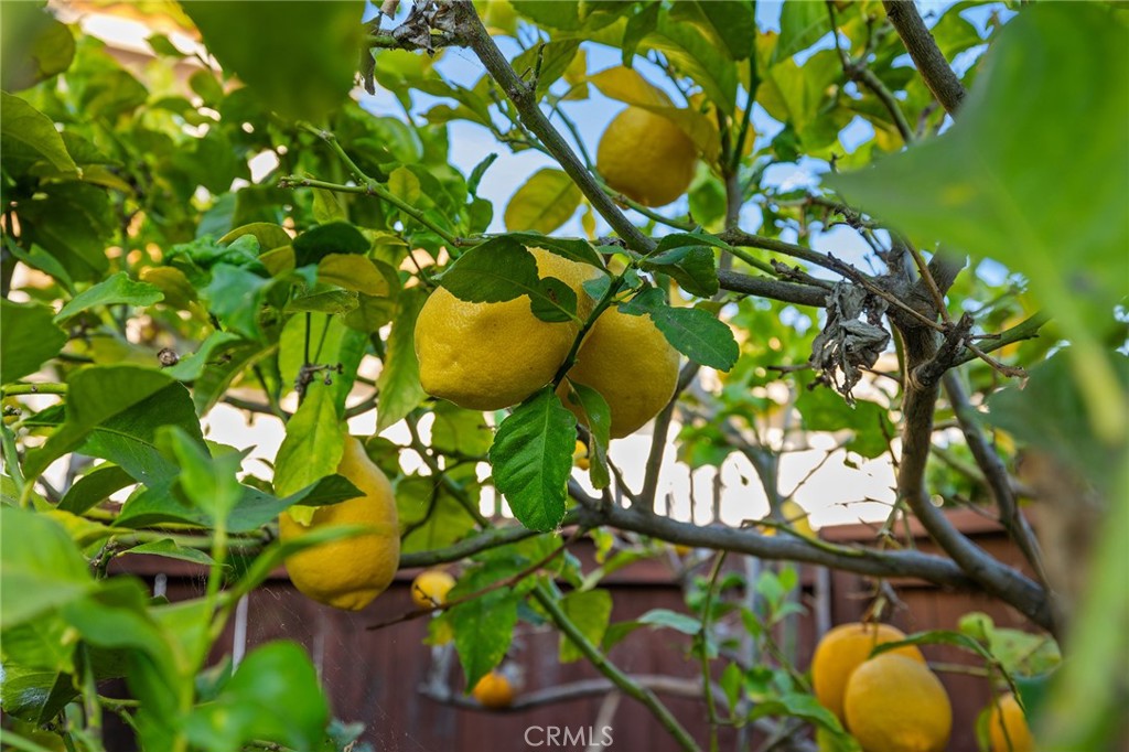 https://media.crmls.org/medias/0b0b5783-537f-4cc0-ade4-50611fc975b5.jpg?preset=X-Large