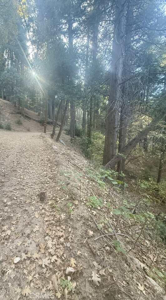 61 Lot - El Valle Road, Cedarpines Park CA: https://media.crmls.org/medias/0b0cf8bf-1a6f-47f0-81b6-8e03e3441286.jpg