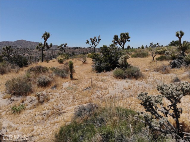 0 Yucca Trail, Yucca Valley, California 92284, ,Land,For Sale,0 Yucca Trail,CRJT23101215