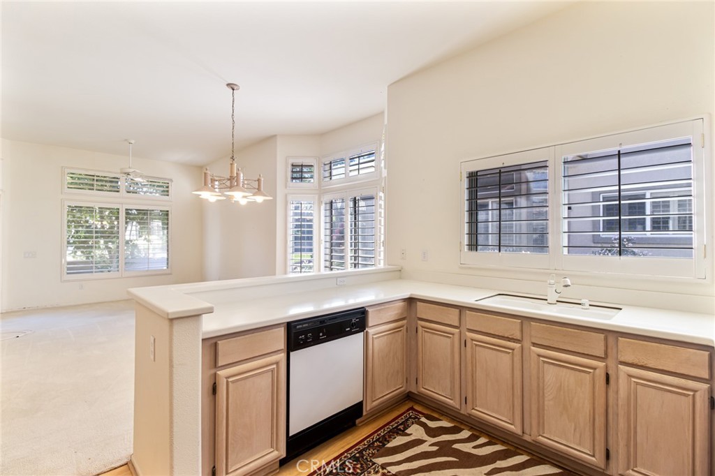 78349 Yucca Blossom Drive