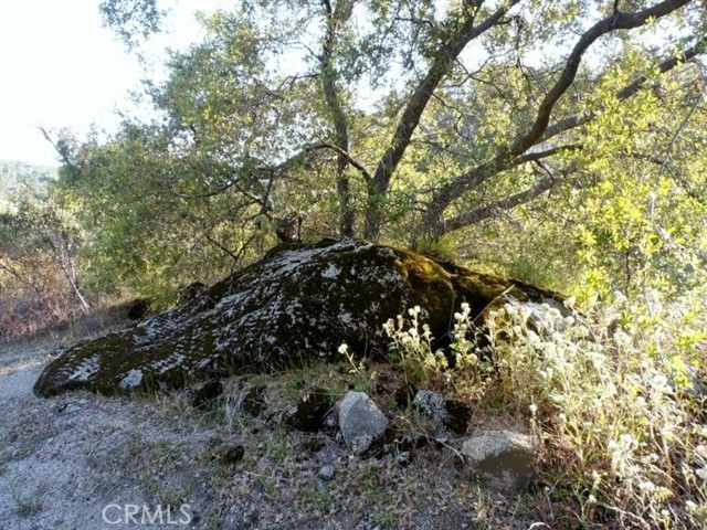 Detail Gallery Image 20 of 64 For 37 Lynx Ln, Prather,  CA 93651 - – Beds | – Baths