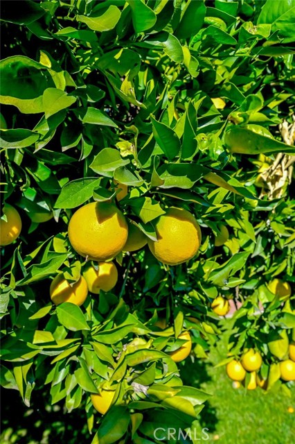 Detail Gallery Image 40 of 40 For 736 N Frijo Ave, West Covina,  CA 91790 - 3 Beds | 2 Baths