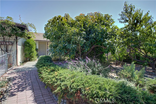 1165 Coral Street, San Luis Obispo, CA, 93405 1165 Coral Street, San Luis Obispo, CA, 93405