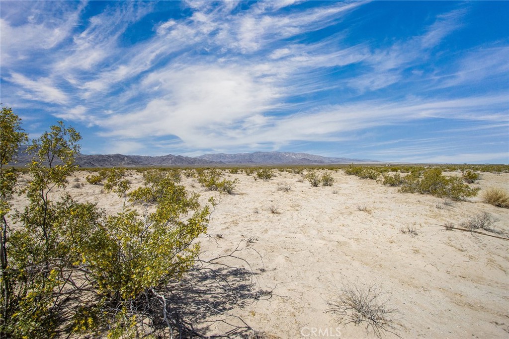 MLS #JT23077574 image #6