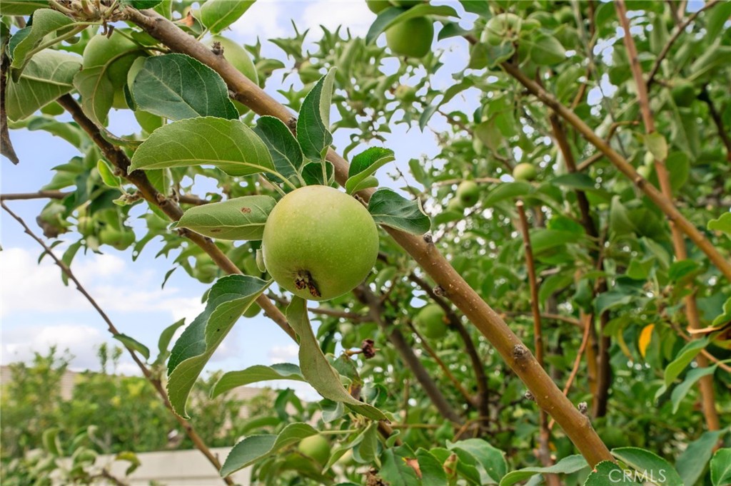 https://media.crmls.org/medias/0b392156-6b00-4fb7-aa1e-61604c8b5542.jpg?preset=X-Large