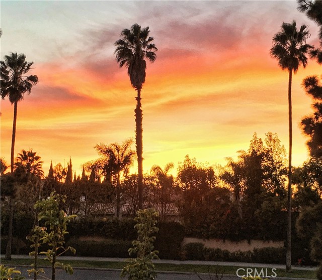 4 Sycamore Lane, Rolling Hills Estates, California 90274, 3 Bedrooms Bedrooms, ,1 BathroomBathrooms,Residential,Sold,Sycamore Lane,PV23119039