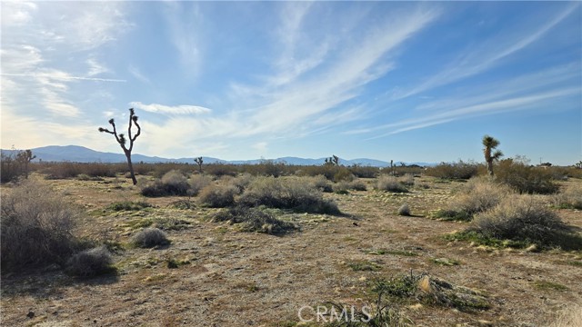 Detail Gallery Image 13 of 21 For 0 115th St East S/O Ave S, Littlerock,  CA 93543 - – Beds | – Baths