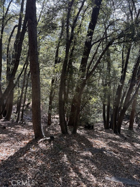 Detail Gallery Image 2 of 6 For 0 343-061-27-000, Cedarpines Park,  CA 92322 - – Beds | – Baths