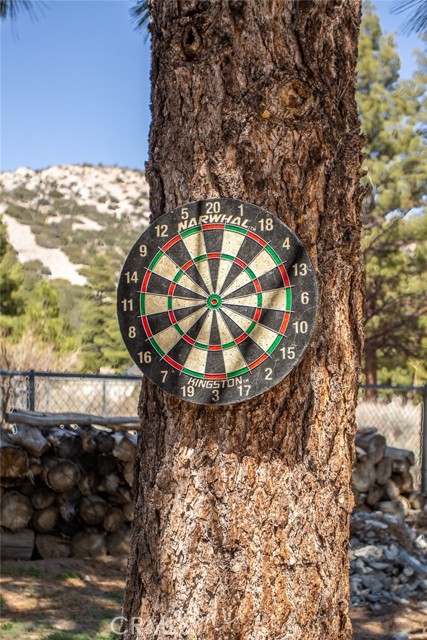 Detail Gallery Image 63 of 72 For 1120 Gold Mountain Dr, Big Bear City,  CA 92314 - 5 Beds | 2/1 Baths