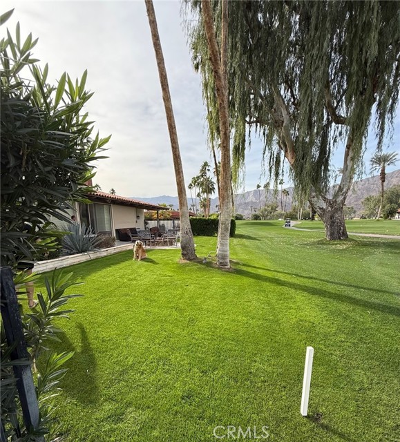 Detail Gallery Image 4 of 9 For 49895 Avenida Montero, La Quinta,  CA 92253 - 2 Beds | 2/1 Baths