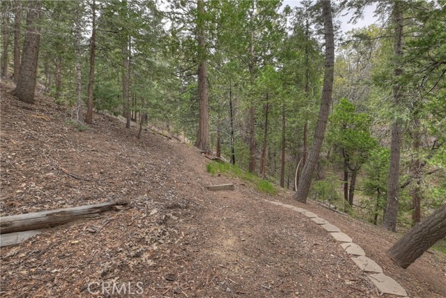 26349 Walnut Hills Drive, Lake Arrowhead CA: https://media.crmls.org/medias/0b4a9671-b240-4fe9-abbf-c96e237437e4.jpg