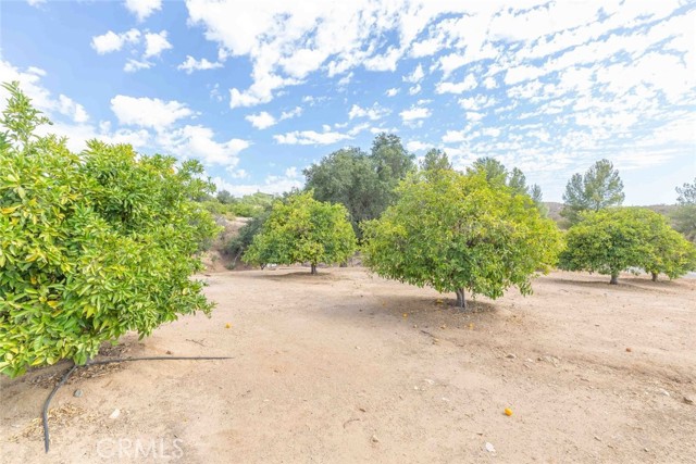 Detail Gallery Image 48 of 50 For 24799 Split Rail Rd, Wildomar,  CA 92595 - 2 Beds | 2 Baths