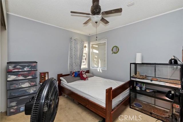 Detail Gallery Image 38 of 56 For 14119 El Mesa, Riverside,  CA 92503 - 3 Beds | 2/1 Baths