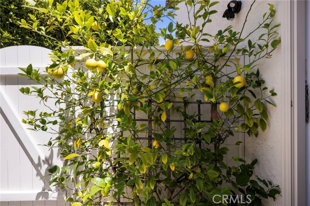 125 Broadway, Redondo Beach, California 90277, 3 Bedrooms Bedrooms, ,2 BathroomsBathrooms,Residential,For Sale,Broadway,SB26087245