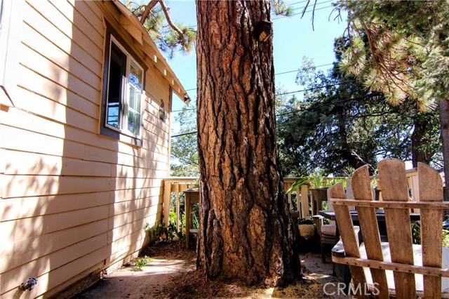 Detail Gallery Image 4 of 24 For 1109 Scenic Way, Rimforest,  CA 92378 - 2 Beds | 1 Baths