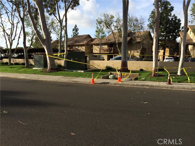 Front Image Thumbnail for CROC26033901