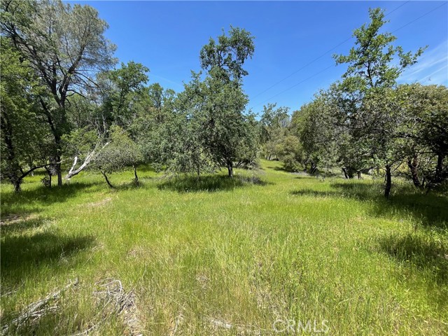 Detail Gallery Image 1 of 1 For 5275 Italian Creek Rd, Mariposa,  CA 95338 - – Beds | – Baths