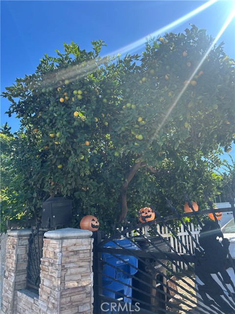 Detail Gallery Image 6 of 44 For 222 W 87th, Los Angeles,  CA 90003 - 3 Beds | 1 Baths