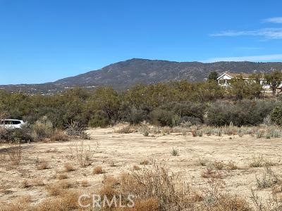 58837 Remy Road, Anza, CA 92539