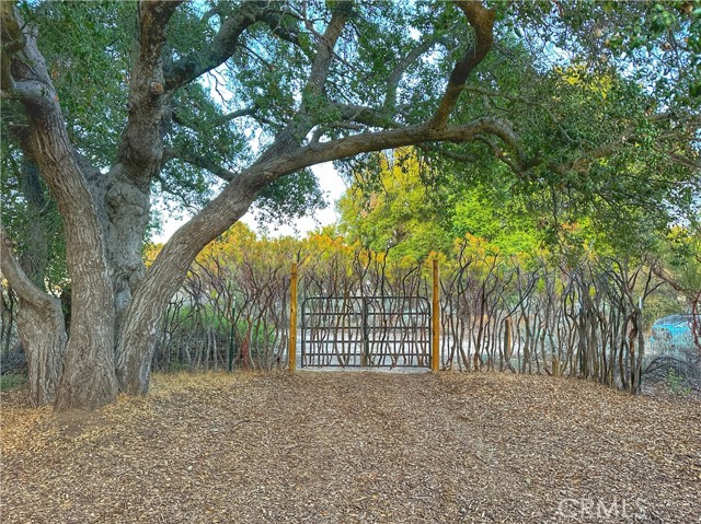 Detail Gallery Image 50 of 75 For 30415 Chihuahua Valley Rd, Warner Springs,  CA 92086 - 1 Beds | 1 Baths