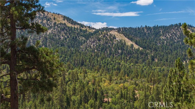 Detail Gallery Image 3 of 26 For 43805 Colusa Dr, Big Bear Lake,  CA 92315 - – Beds | – Baths
