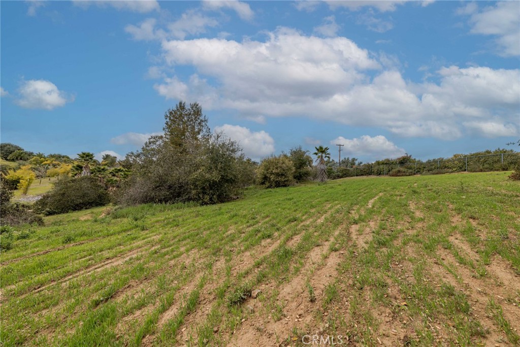 MLS #SW25105028 img 51